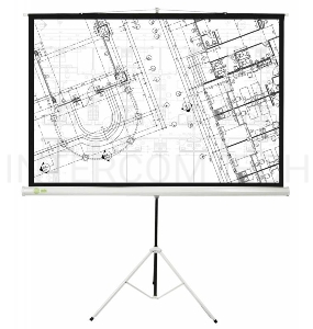 Экран Cactus 127x127см Triscreen CS-PST-127X127 1:1 напольный рулонный белый