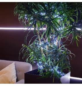 Гирлянда «Кластер LED» 3 м, темно-зеленый ПВХ IP20, 288 диодов, цвет белый