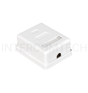 Розетка внешняя Exegate EX271122RUS  RJ-45 кат.5/5E UTP Krone/110
