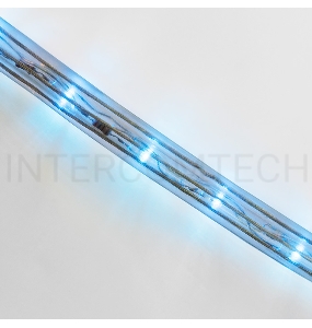 Дюралайт LED, постоянное свечение (2W) - синий, 30 LED/м, бухта 100м