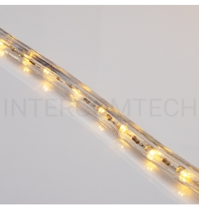 Дюралайт LED, постоянное свечение (2W) – теплый белый, 36 LED/м, бухта 100 м