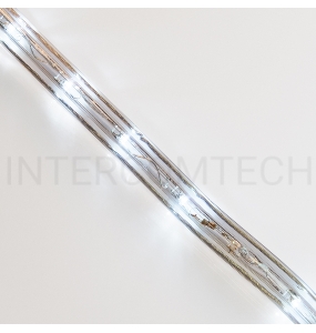 Дюралайт LED, постоянное свечение (2W) – белый, 36 LED/м, бухта 100 м NEON-NIGHT