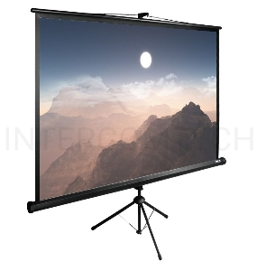 Экран Cactus 180x180см TriExpert CS-PSTE-180x180-BK 1:1 напольный рулонный