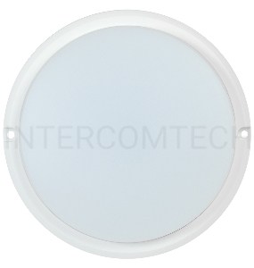 Светильник Iek LDPO0-4002-12-4000-K01  LED ДПО 4002 12Вт IP54 4000K круг белый IEK
