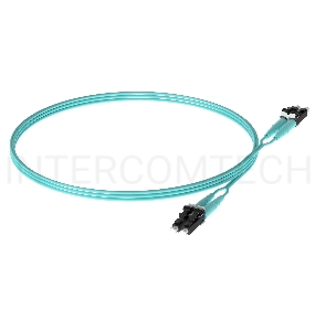 Патч-корд Panduit FX2ELLNLNSNM010 2x50/125 OM3 LC дуплекс-LC дуплекс 10м LSZH аквамарин