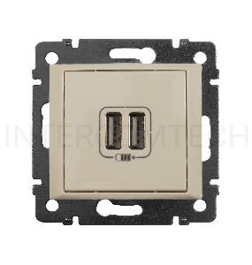 Valena Сл. кость Розетка 2-ая USB | 774170 | Legrand